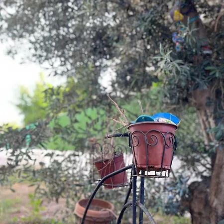 With Private Pool In Alaçatı Villa *