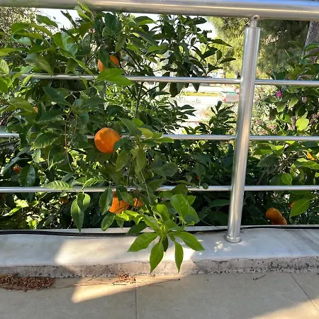 With Private Pool In Alaçatı