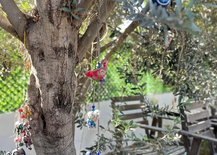 With Private Pool In Alacati 别墅