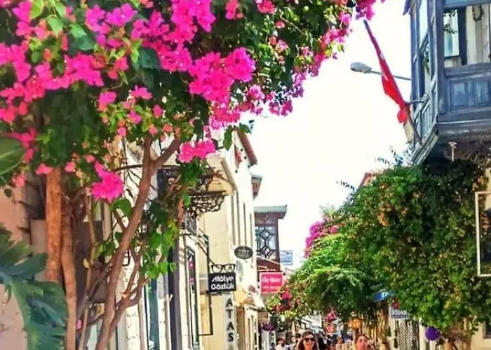 With Private Pool In Alacati 别墅